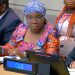 Foreign Minister Nyanti Addresses Liberia Configuration of the Peacebuilding Commission at the United Nations