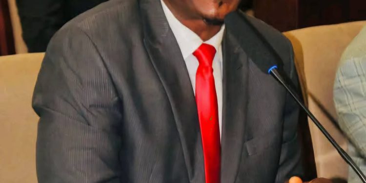 “Mere Joke, Budget For The Security Sector ” Senate Chair On , Defense , National Security And Intelligence, Momo Cyrus Asserts